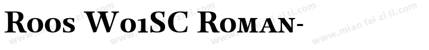 Roos W01SC Roman字体转换